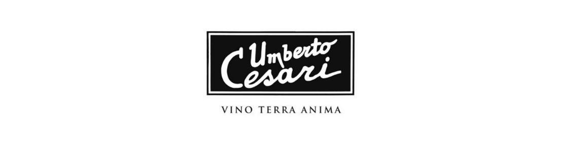 Umberto Cesari