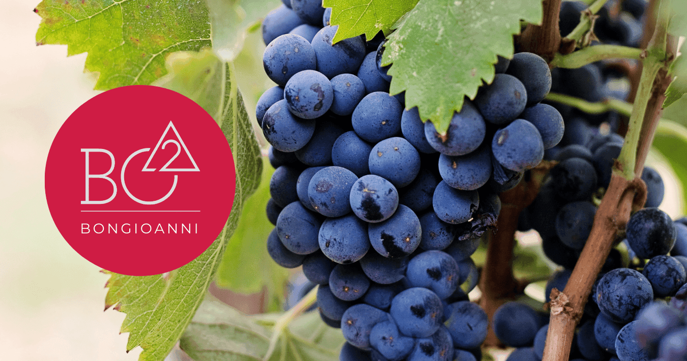 26 Febbraio - Degustazione con abbinamento food con Bongioanni Wine!