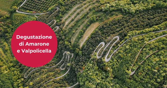 25 Marzo - Degustazione di Amarone e Valpolicella!