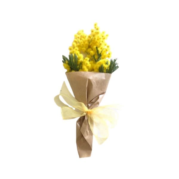 Mazzetto di Mimose - Composizione Esemplificativa