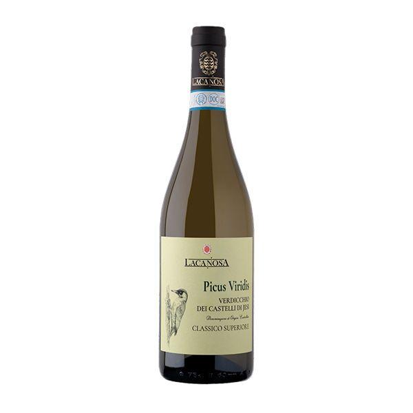 Verdicchio dei Castelli di Jesi Classico Superiore DOC Picus Viridis 2022