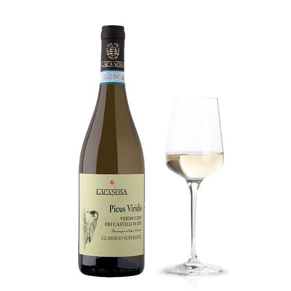 Verdicchio dei Castelli di Jesi Classico Superiore DOC Picus Viridis 2022 (12,5 cl)