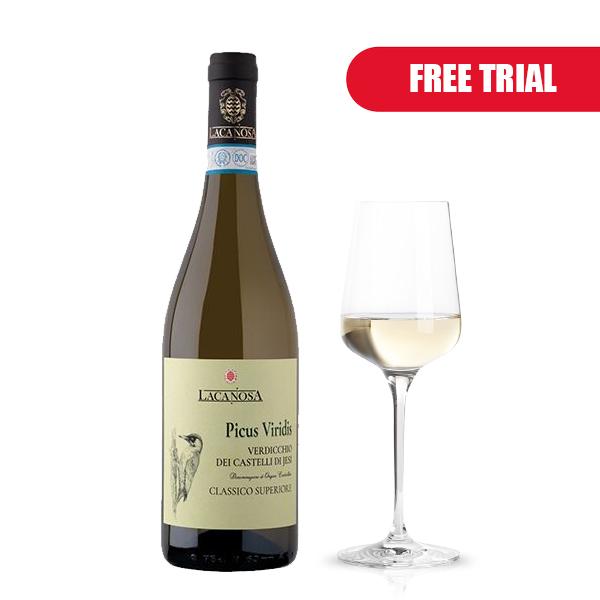 Free Trial Verdicchio Classico Superiore DOC Picus Viridis